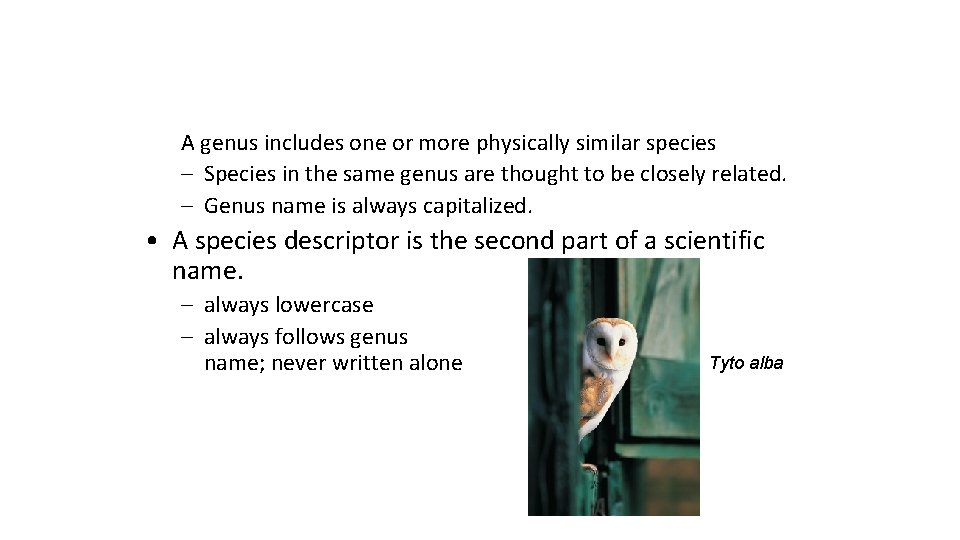 A genus includes one or more physically similar species – Species in the same
