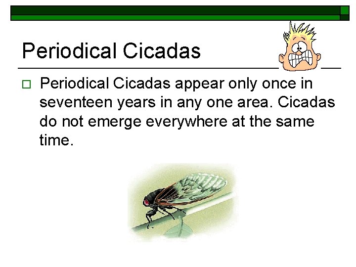 Periodical Cicadas o Periodical Cicadas appear only once in seventeen years in any one