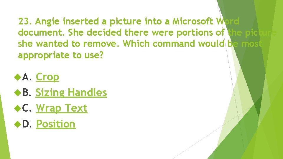 23. Angie inserted a picture into a Microsoft Word document. She decided there were 23. Angie inserted a picture into a Microsoft Word document. She decided there were