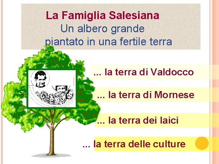 La Famiglia Salesiana Un albero grande piantato in una fertile terra. . . la
