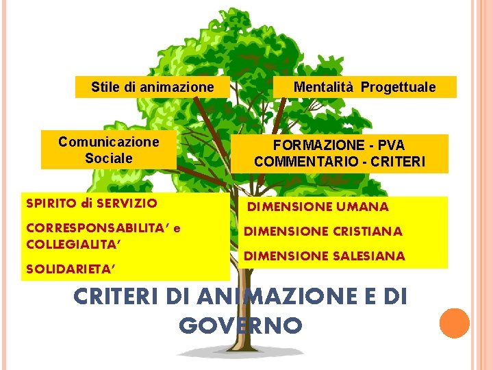 Stile di animazione Comunicazione Sociale Mentalità Progettuale FORMAZIONE - PVA COMMENTARIO - CRITERI SPIRITO