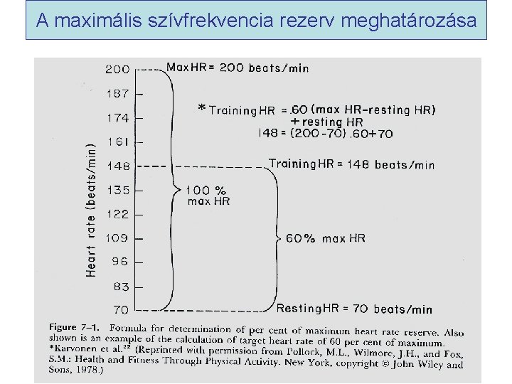 A maximális szívfrekvencia rezerv meghatározása 