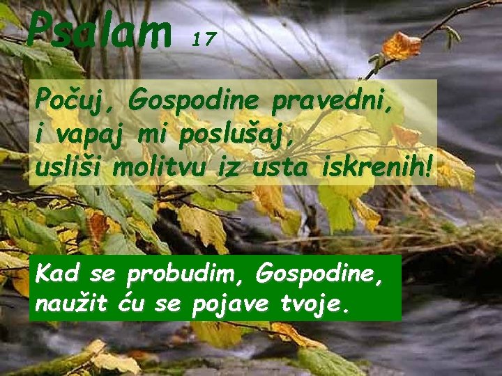 Psalam 17 Počuj, Gospodine pravedni, i vapaj mi poslušaj, usliši molitvu iz usta iskrenih!