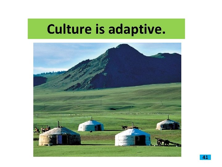 Culture is adaptive. 41 