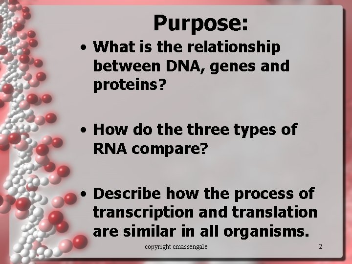 Purpose: • What is the relationship between DNA, genes and proteins? • How do