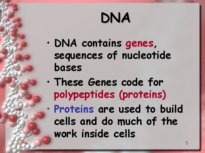 DNA • DNA contains genes, sequences of nucleotide bases • These Genes code for