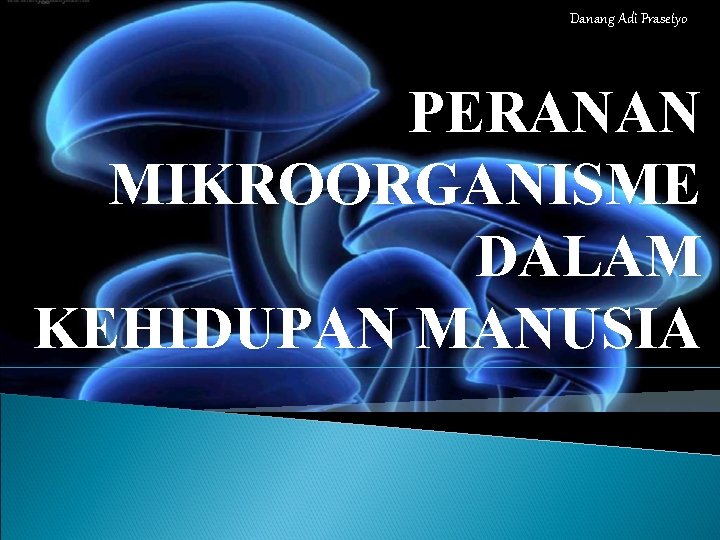 Danang Adi Prasetyo PERANAN MIKROORGANISME DALAM KEHIDUPAN MANUSIA 