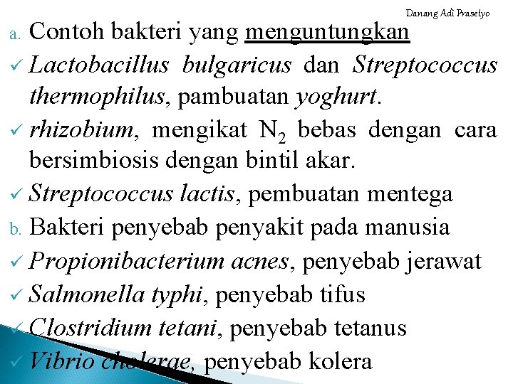 Danang Adi Prasetyo Contoh bakteri yang menguntungkan ü Lactobacillus bulgaricus dan Streptococcus thermophilus, pambuatan