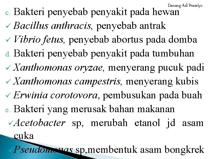 Danang Adi Prasetyo Bakteri penyebab penyakit pada hewan ü Bacillus anthracis, penyebab antrak ü