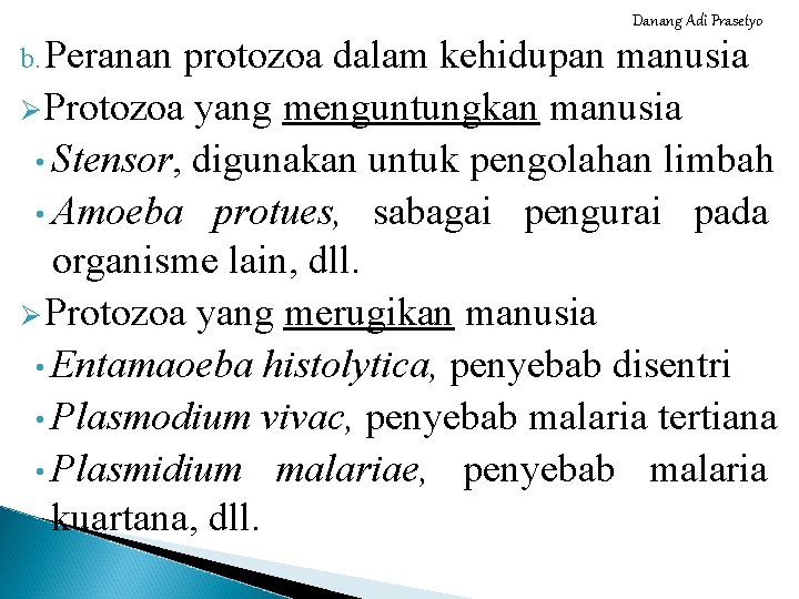 Danang Adi Prasetyo b. Peranan protozoa dalam kehidupan manusia ØProtozoa yang menguntungkan manusia •