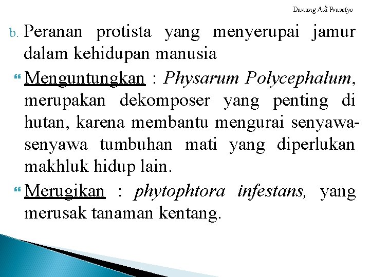 Danang Adi Prasetyo Peranan protista yang menyerupai jamur dalam kehidupan manusia Menguntungkan : Physarum