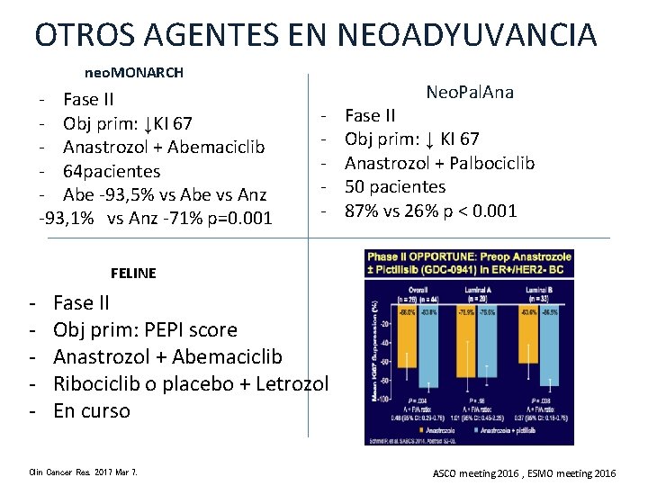 OTROS AGENTES EN NEOADYUVANCIA neo. MONARCH - Fase II - Obj prim: ↓KI 67 OTROS AGENTES EN NEOADYUVANCIA neo. MONARCH - Fase II - Obj prim: ↓KI 67