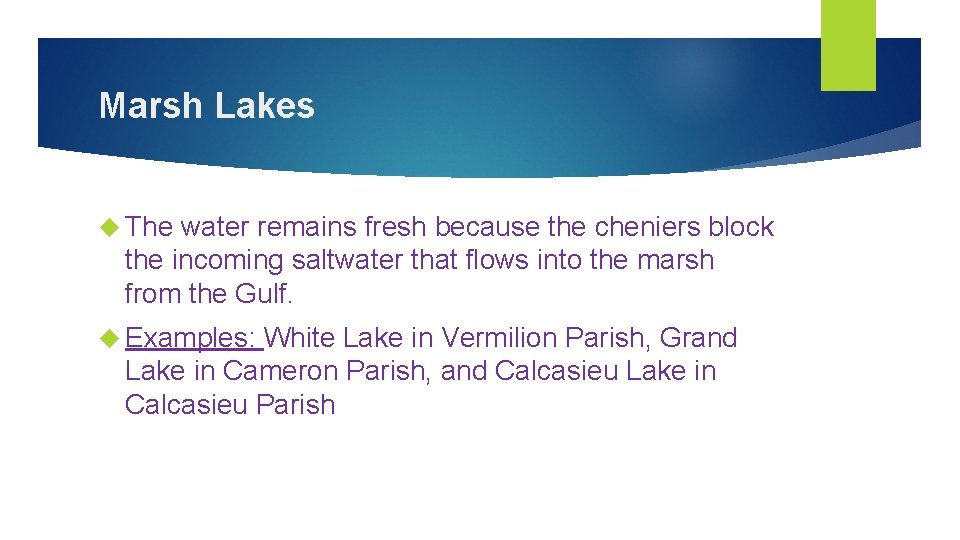 Marsh Lakes The water remains fresh because the cheniers block the incoming saltwater that