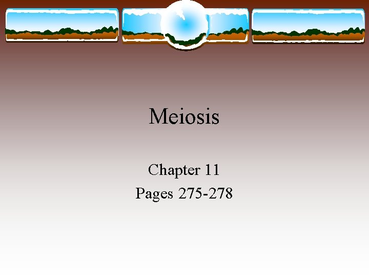 Meiosis Chapter 11 Pages 275 -278 