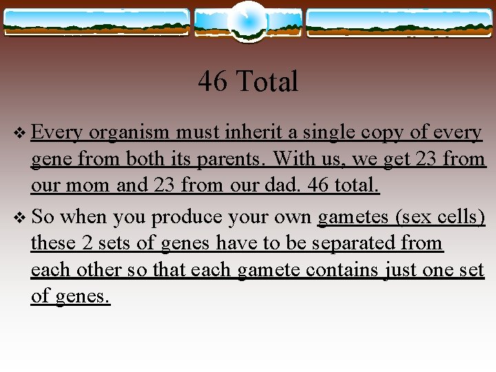 46 Total v Every organism must inherit a single copy of every gene from