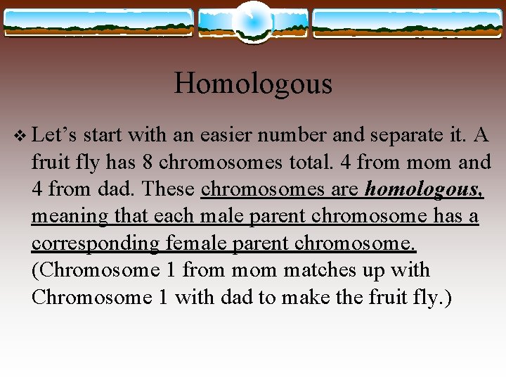 Homologous v Let’s start with an easier number and separate it. A fruit fly