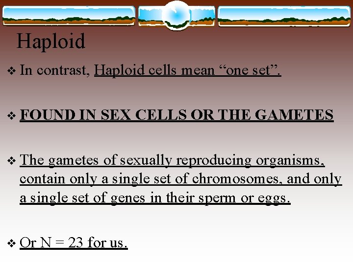 Haploid v In contrast, Haploid cells mean “one set”. v FOUND IN SEX CELLS