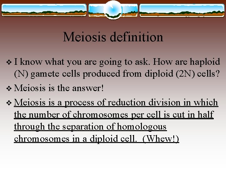 Meiosis definition v I know what you are going to ask. How are haploid