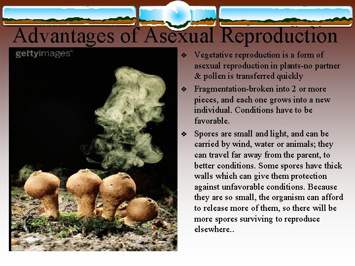 Advantages of Asexual Reproduction v v v Vegetative reproduction is a form of asexual