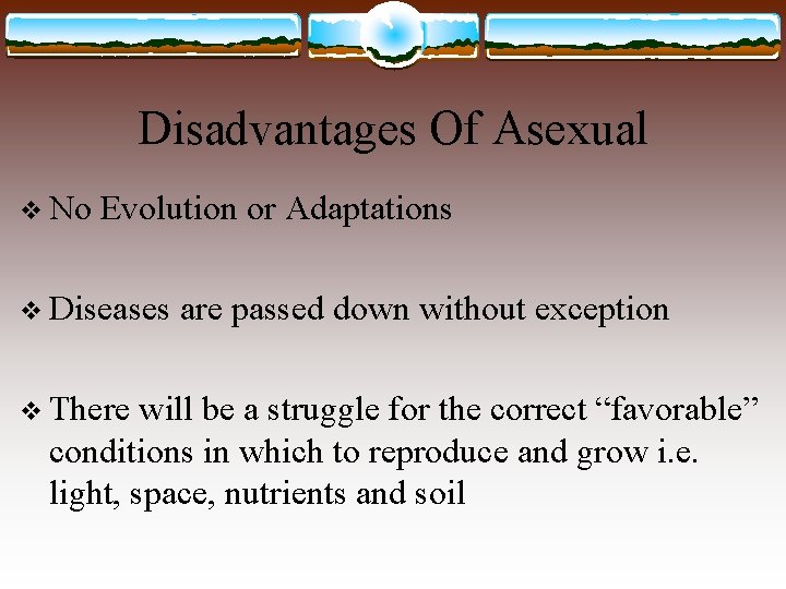 Disadvantages Of Asexual v No Evolution or Adaptations v Diseases are passed down without
