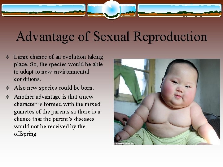 Advantage of Sexual Reproduction v v v Large chance of an evolution taking place.