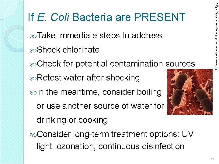 http: //www. kimicontrol. com/microorg/escherichia_coli. jpg If E. Coli Bacteria are PRESENT Take immediate steps