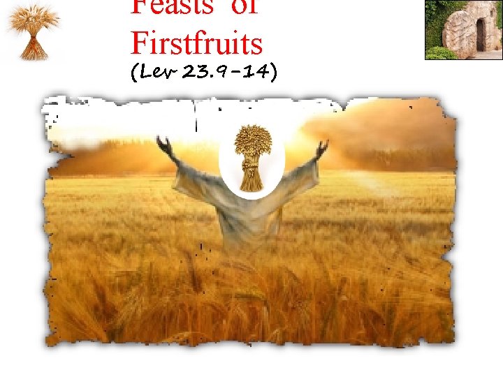 Feasts of Firstfruits (Lev 23. 9 -14) 