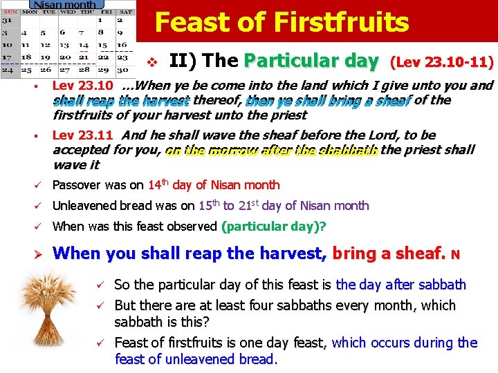 Nisan month Feast of Firstfruits -- -------------§ v II) The Particular day (Lev 23.