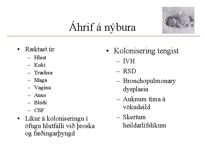 Áhrif á nýbura • Ræktast úr – – – – Hlust Koki Trachea Maga