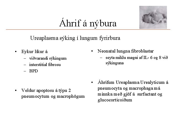 Áhrif á nýbura Ureaplasma sýking í lungum fyrirbura • Eykur líkur á – viðvarandi