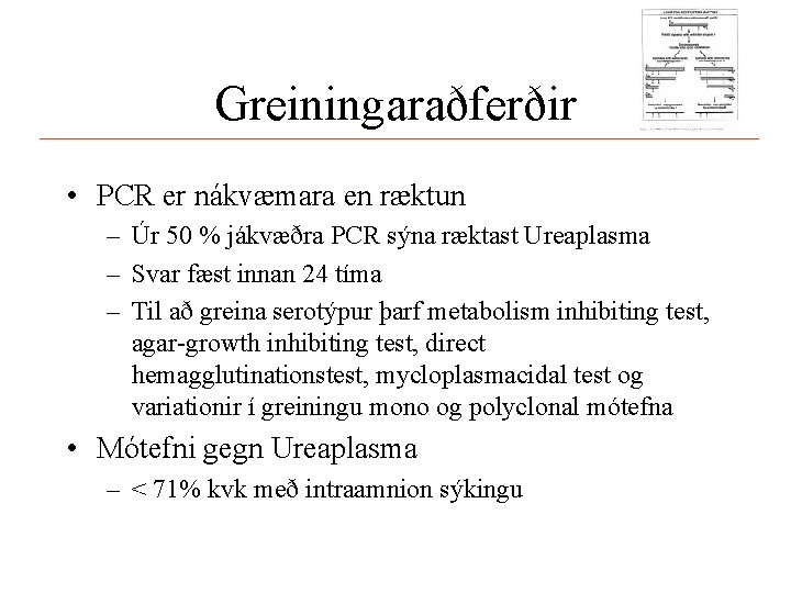 Greiningaraðferðir • PCR er nákvæmara en ræktun – Úr 50 % jákvæðra PCR sýna