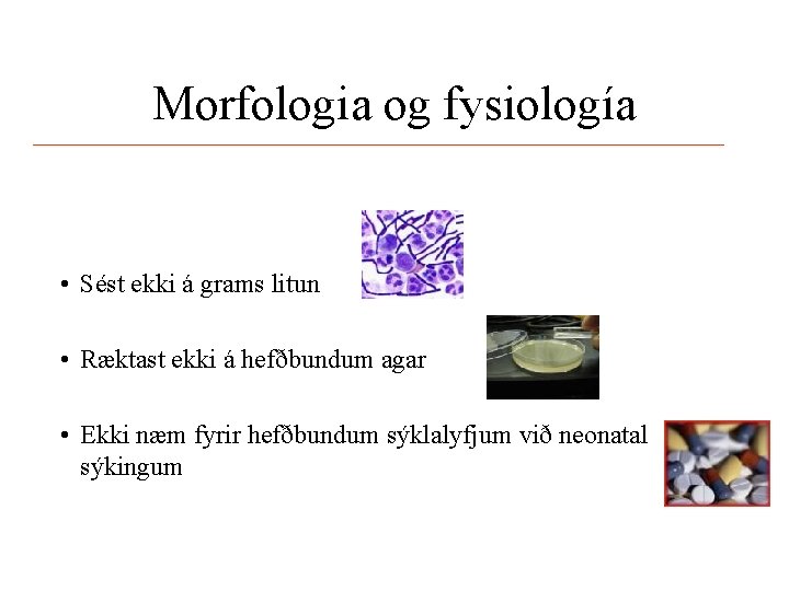 Morfologia og fysiología • Sést ekki á grams litun • Ræktast ekki á hefðbundum