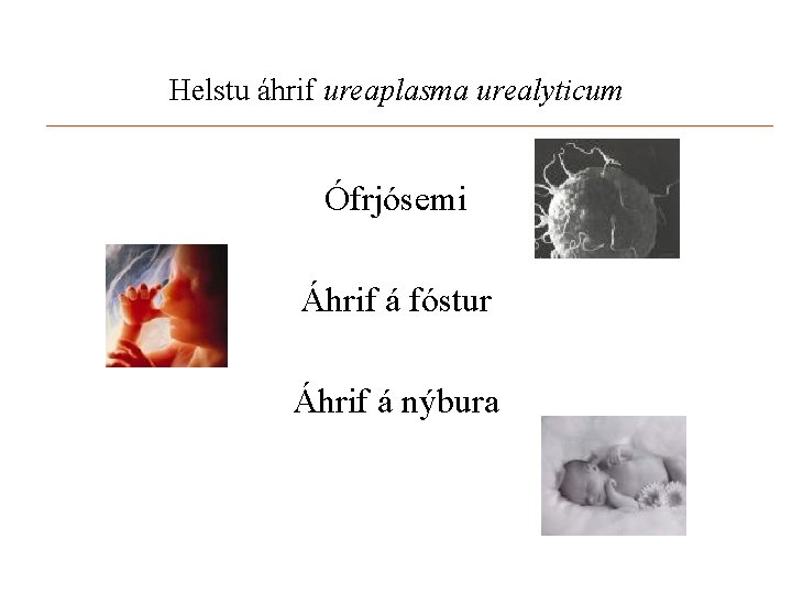 Helstu áhrif ureaplasma urealyticum Ófrjósemi Áhrif á fóstur Áhrif á nýbura 