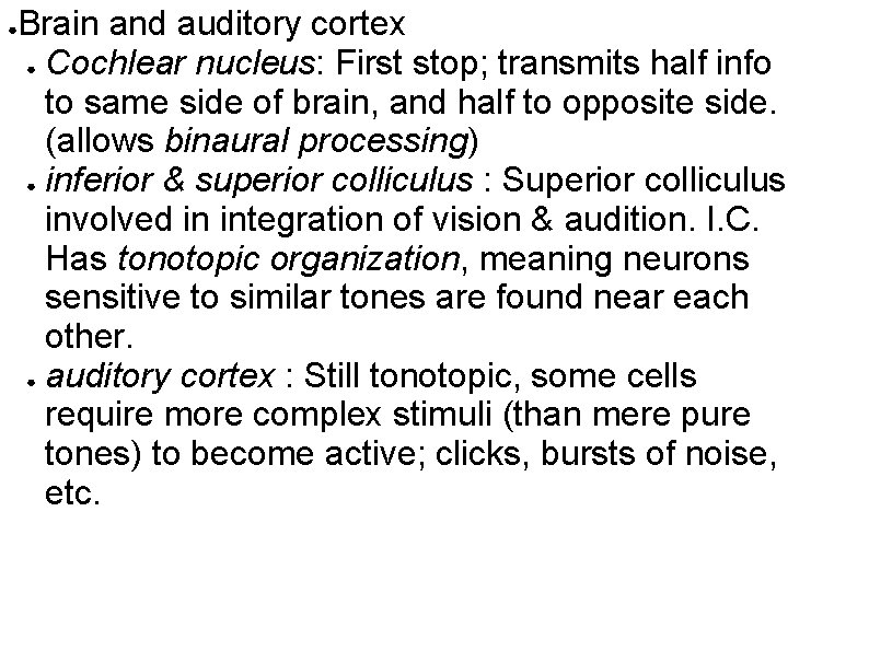● Brain and auditory cortex ● Cochlear nucleus: First stop; transmits half info to