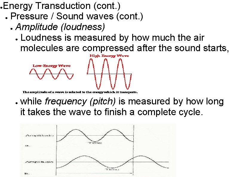 Energy Transduction (cont. ) ● Pressure / Sound waves (cont. ) ● Amplitude (loudness)