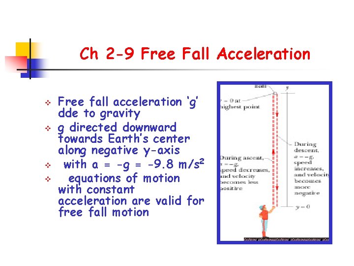 Ch 2 -9 Free Fall Acceleration v v Free fall acceleration ‘g’ dde to