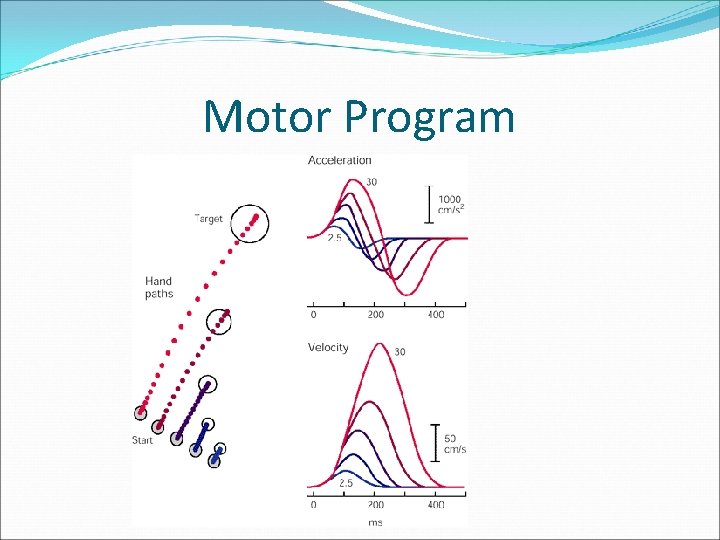 Motor Programme Introduction to Movement Course Lectures of Dr Shahriar
