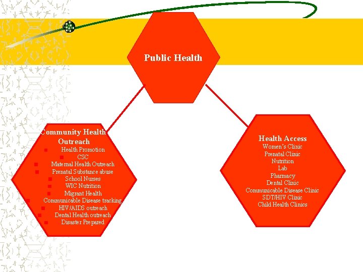 Public Health Community Health Outreach Health Promotion CSC Maternal Health Outreach Prenatal Substance abuse