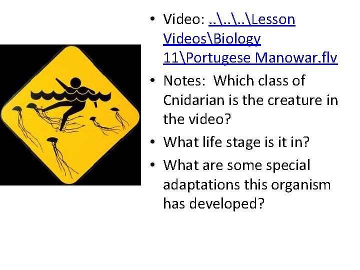  • Video: . . Lesson VideosBiology 11Portugese Manowar. flv • Notes: Which class
