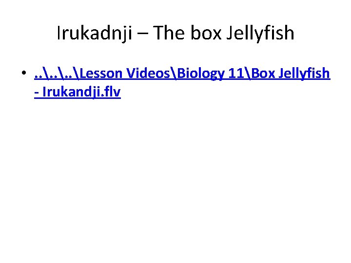 Irukadnji – The box Jellyfish • . . Lesson VideosBiology 11Box Jellyfish - Irukandji.