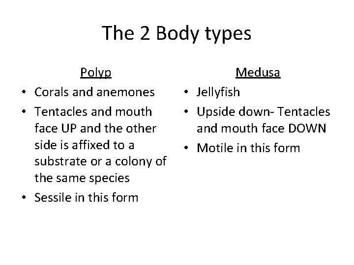 The 2 Body types Polyp • Corals and anemones • Tentacles and mouth face