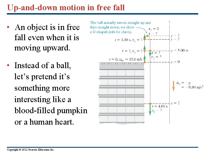Up-and-down motion in free fall • An object is in free fall even when