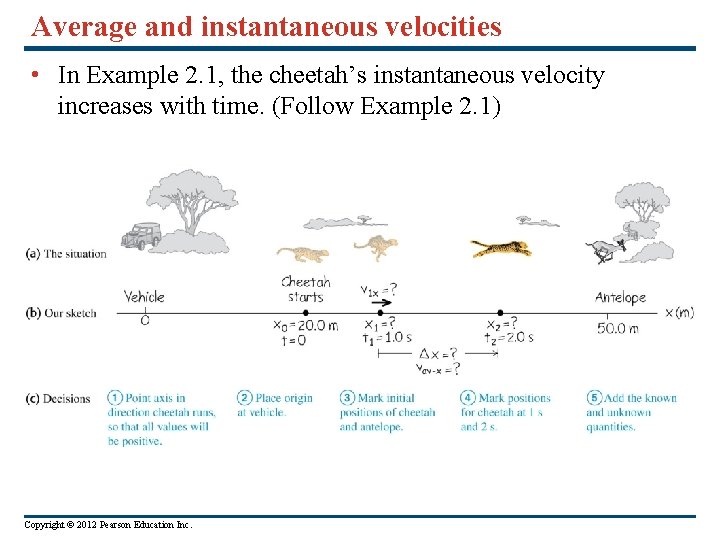 Average and instantaneous velocities • In Example 2. 1, the cheetah’s instantaneous velocity increases