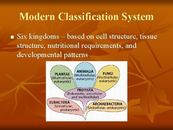 Modern Classification System n Six kingdoms – based on cell structure, tissue structure, nutritional