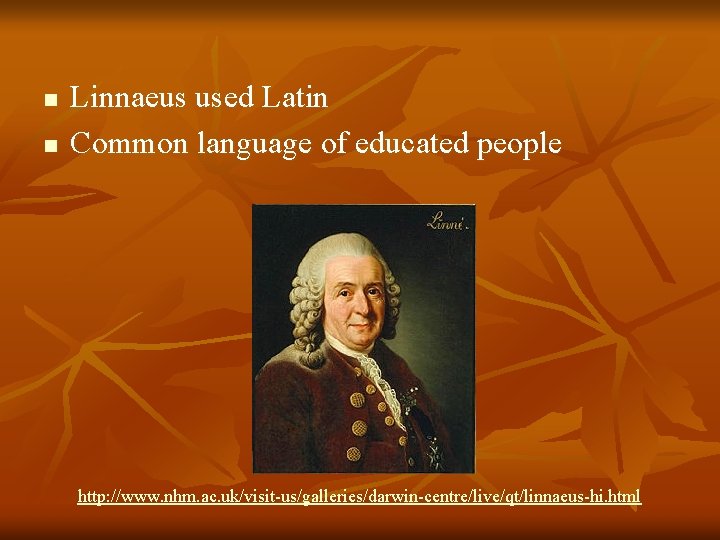 n n Linnaeus used Latin Common language of educated people http: //www. nhm. ac. n n Linnaeus used Latin Common language of educated people http: //www. nhm. ac.