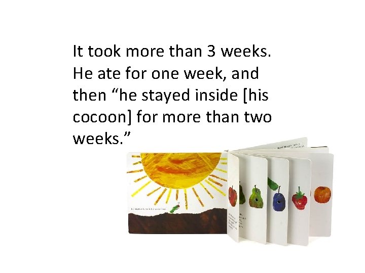 It took more than 3 weeks. He ate for one week, and then “he