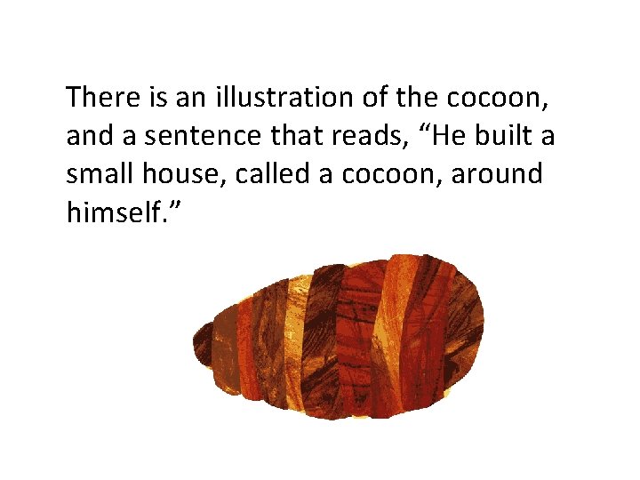 There is an illustration of the cocoon, and a sentence that reads, “He built