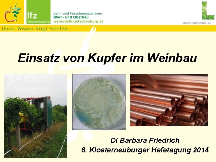 Einsatz von Kupfer im Weinbau DI Barbara Friedrich 6. Klosterneuburger Hefetagung 2014 