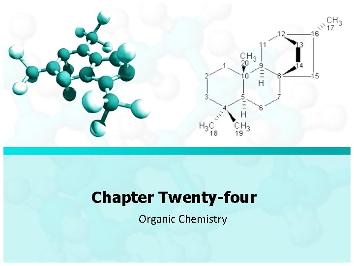 Chapter Twenty-four Organic Chemistry 