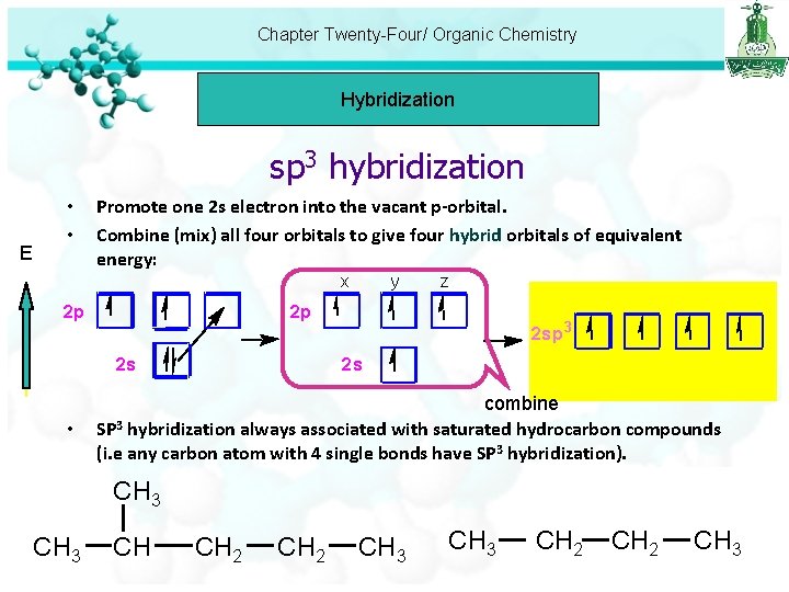 Chapter Twenty-Four/ Organic Chemistry Hybridization sp 3 hybridization E • • Promote one 2